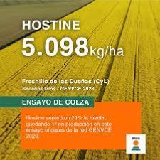 COLZA HIBRIDA KWS HOSTINE (Con tratamiento Initio) - 1 SACO