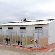 LATERAL BARRAS 15OX185 BOX PERROS